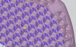 20.12 – Création de coques & de latices
